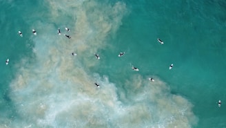 Surfers are floating on their boards in the turquoise ocean, surrounded by churning waves and patches of sand visible beneath the water.