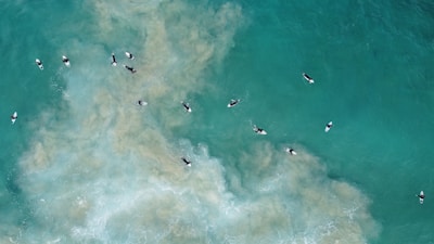 Surfers are floating on their boards in the turquoise ocean, surrounded by churning waves and patches of sand visible beneath the water.