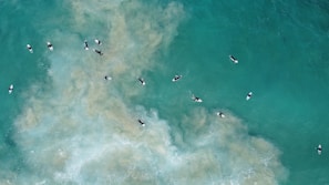 Surfers are floating on their boards in the turquoise ocean, surrounded by churning waves and patches of sand visible beneath the water.