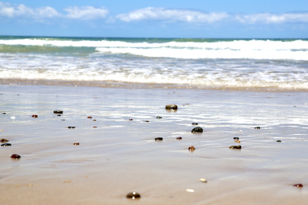 black stones on beach during daytime