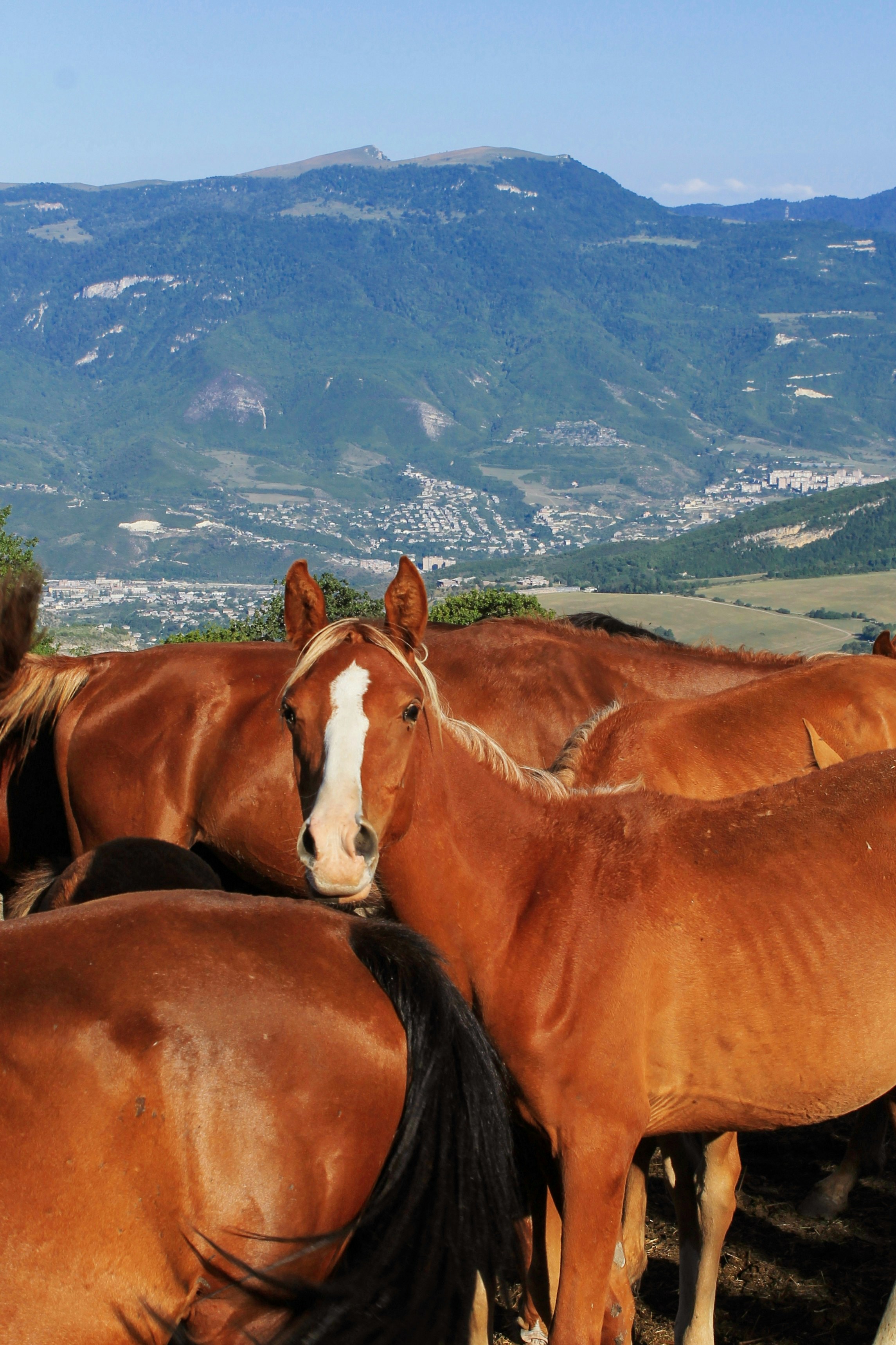 Photo by kristinakzhdryan