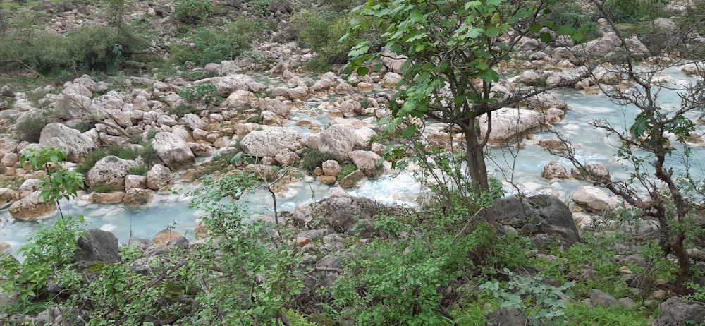 a river that has some rocks in it