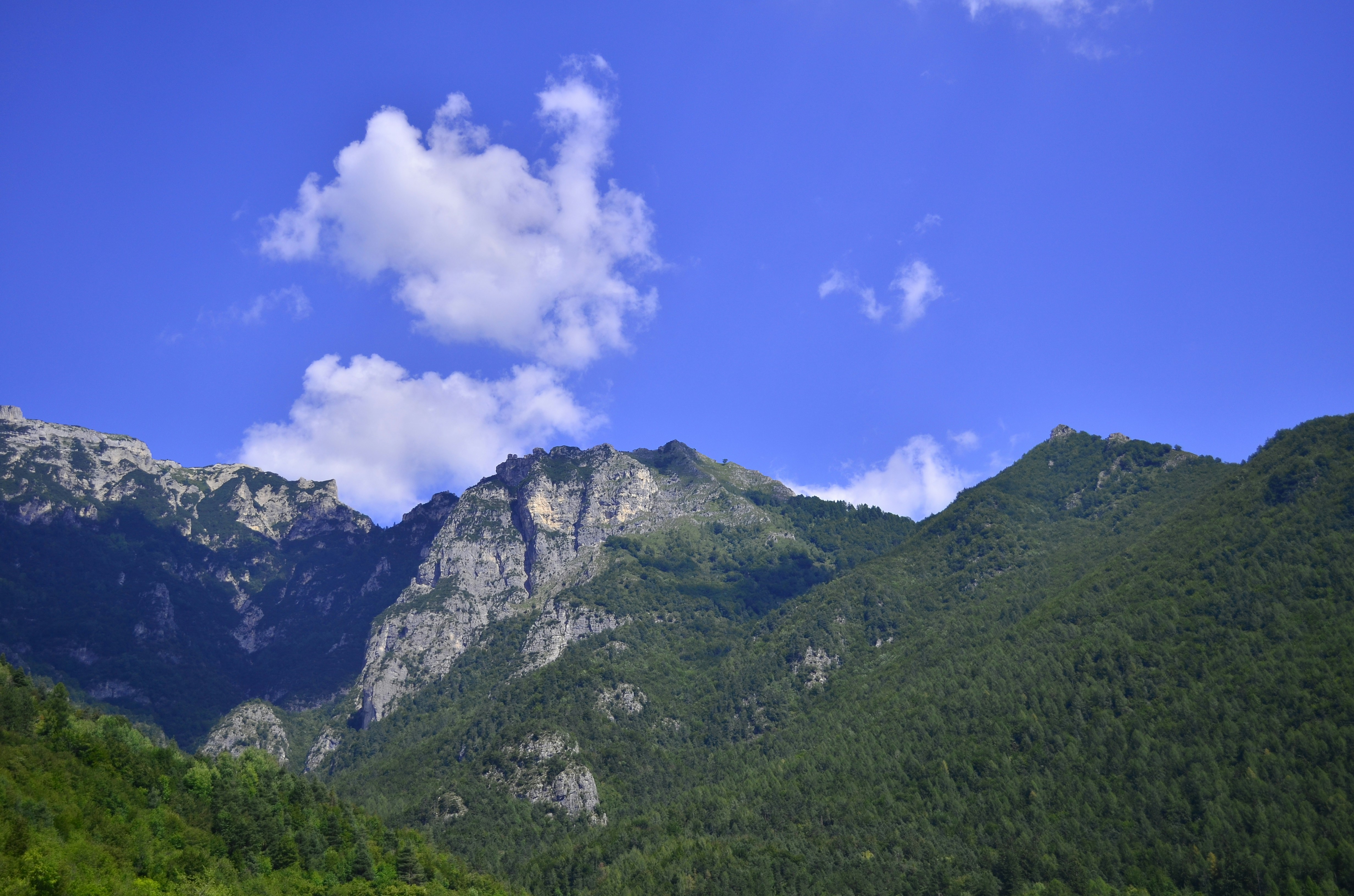 Photo by angela_pompermaier