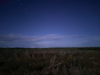A serene open prairie under a moonlit sky.