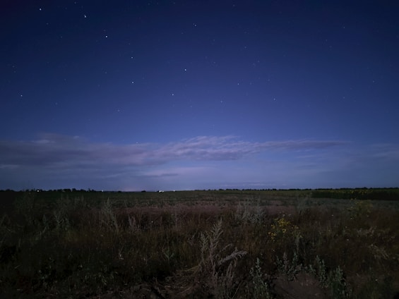A serene open prairie under a moonlit sky.