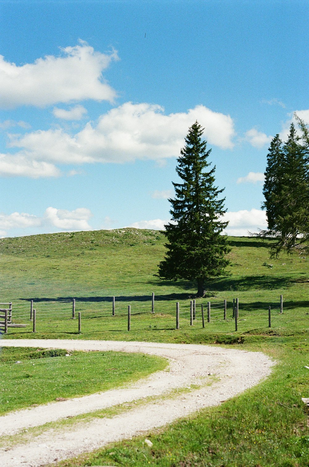 brown and white wooden fence on green grass field during daytime photo – Free Field Image on Unsplash Photo by Philip Myrtorp... 