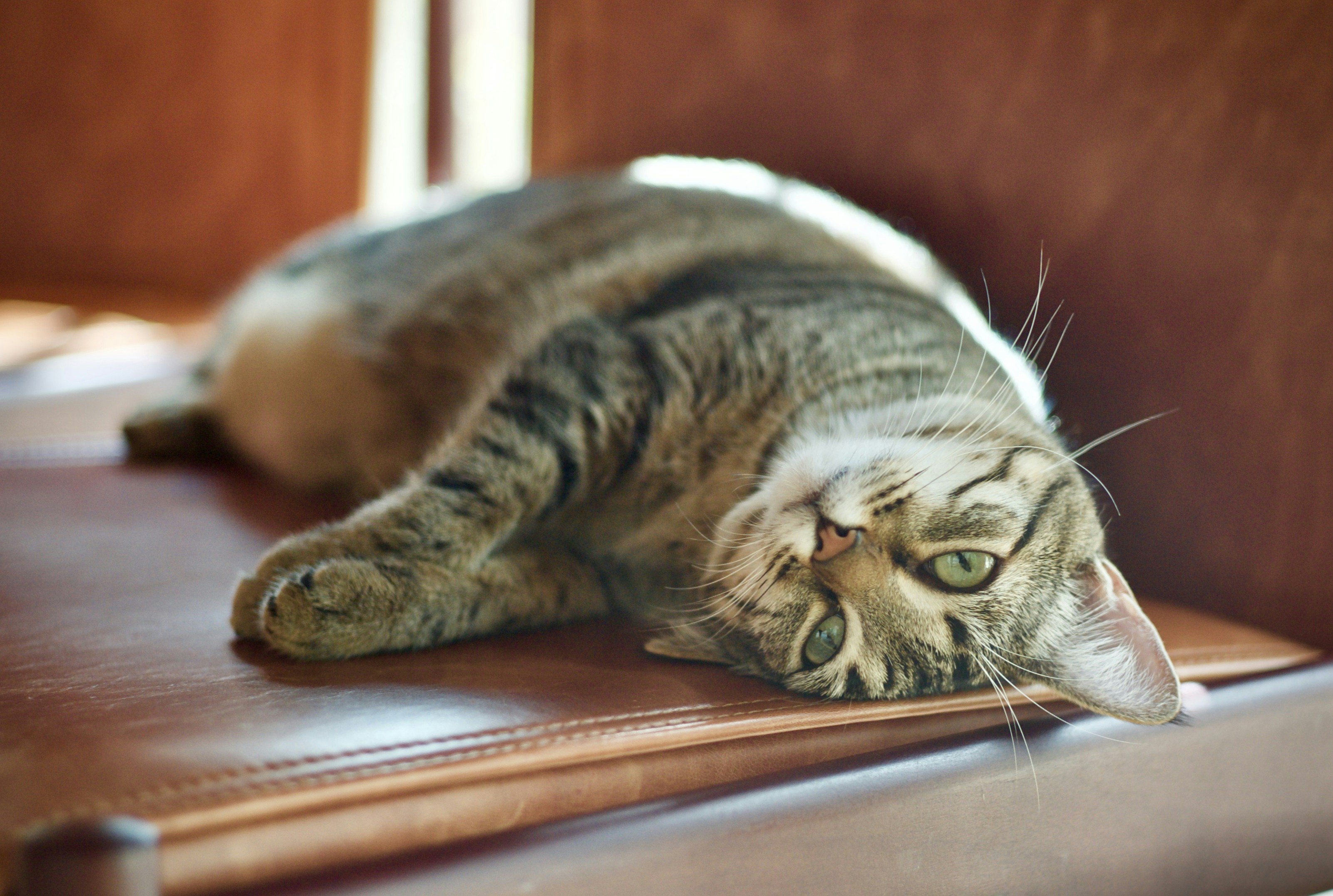 Photo by marcomartinsfilho