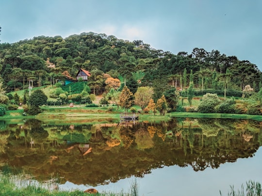 green trees near body of water during daytime in Urubici Brasil