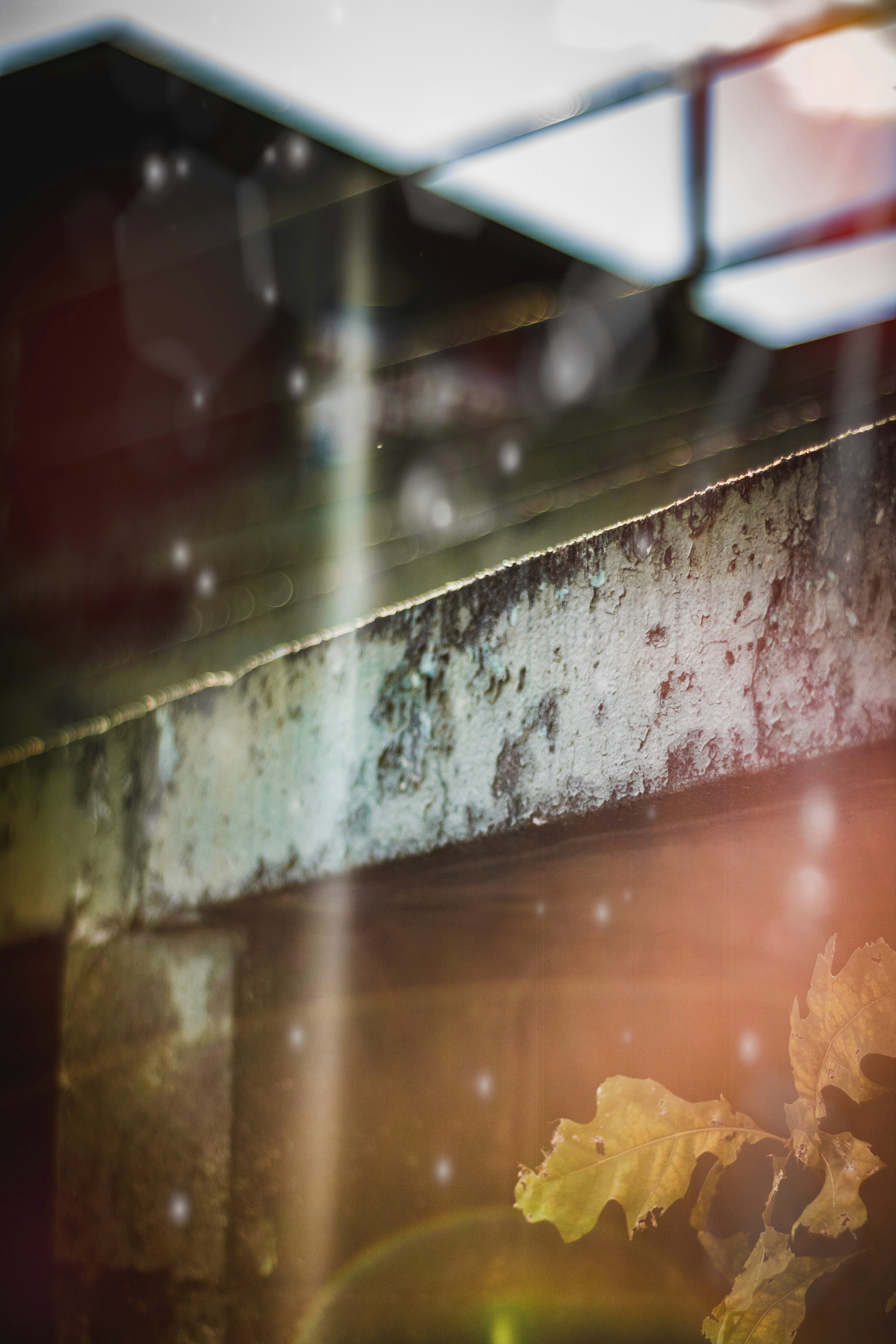 Photo by ethangarvey