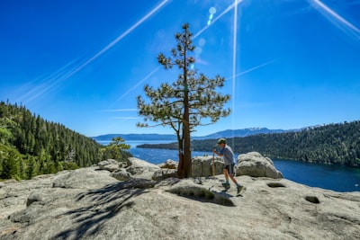 man in gray shirt and blue denim jeans sitting on gray rock near green tree during wilderness google meet background