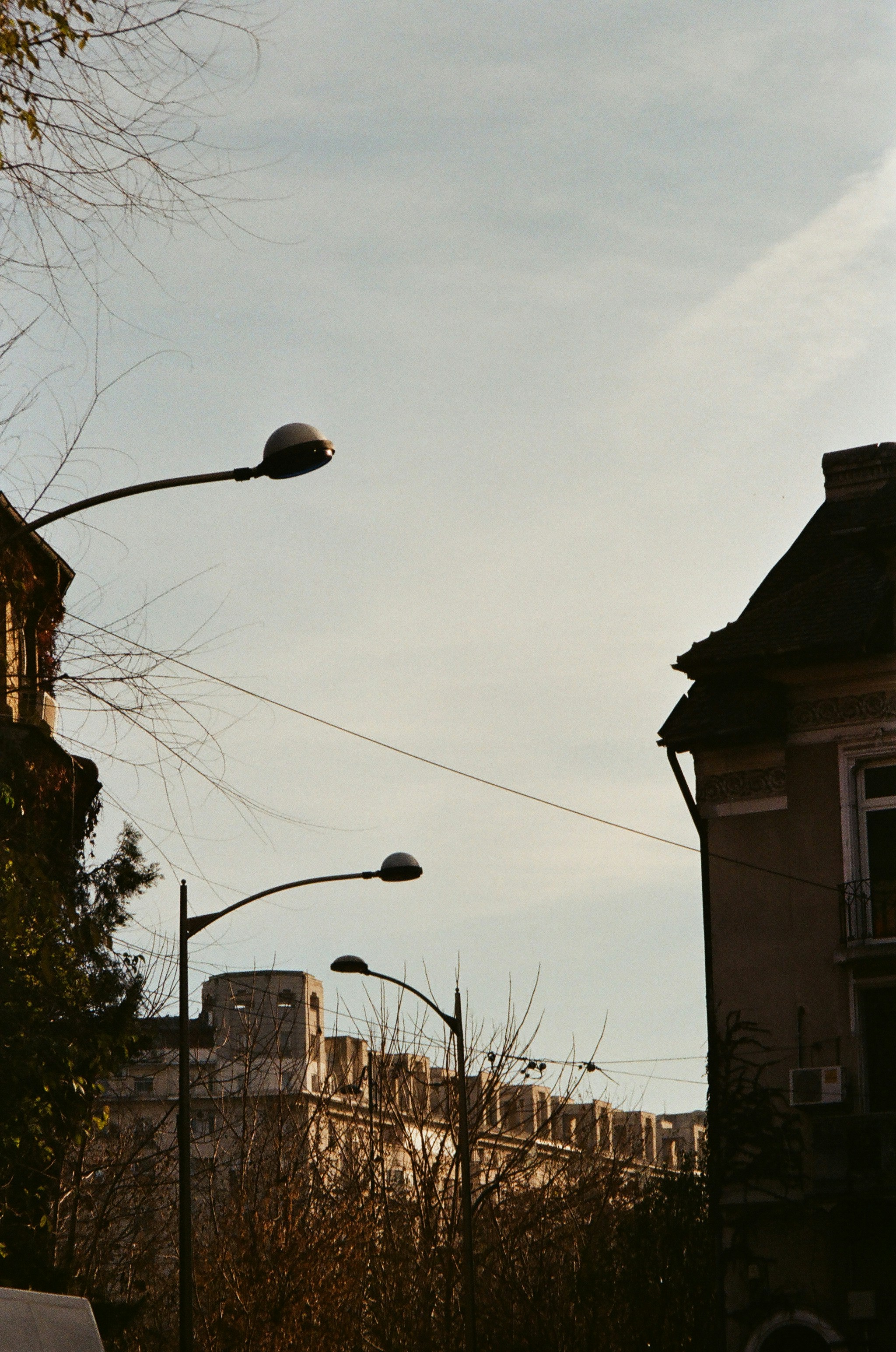 black street light near brown bare tree during daytime