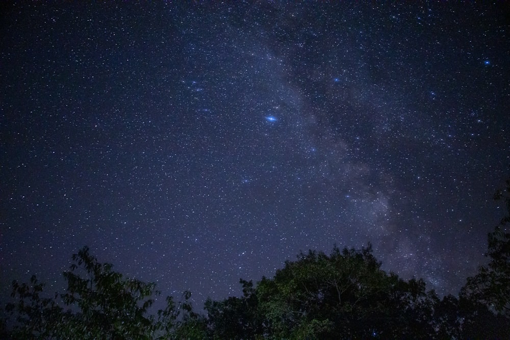 green trees under blue sky during night time