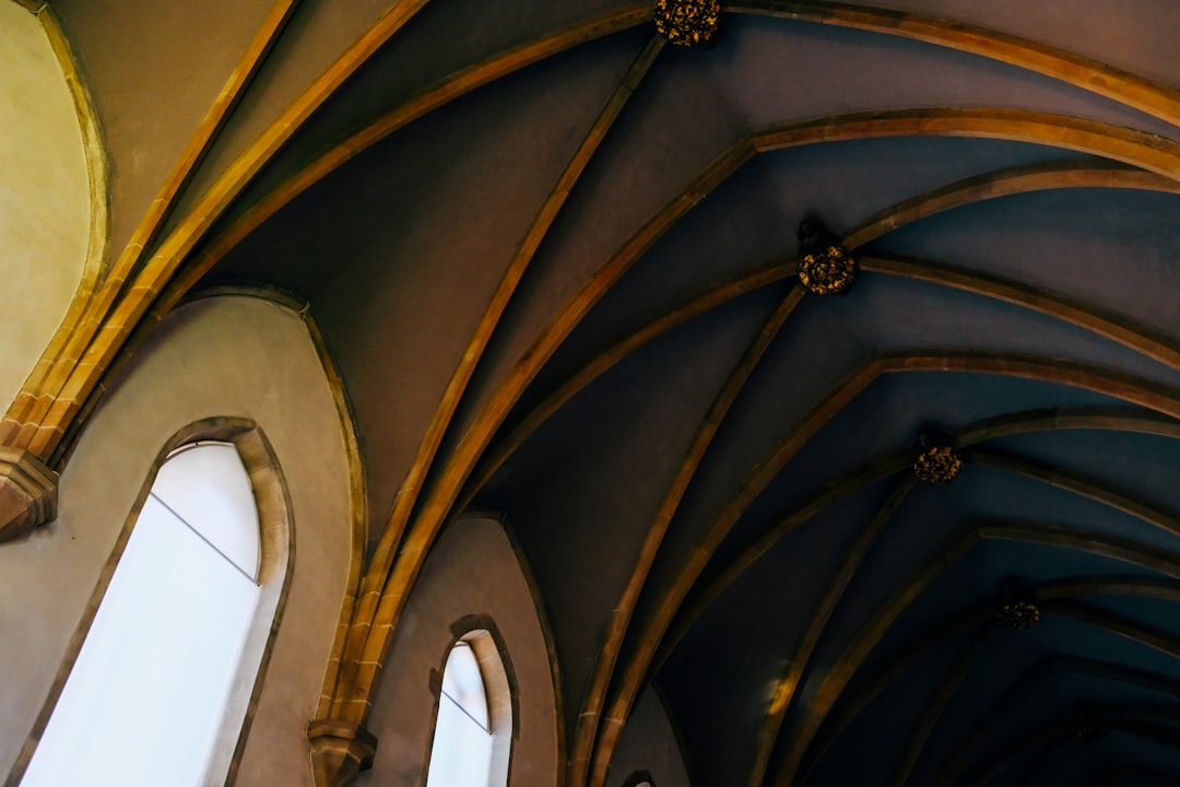 brown and black ceiling with light