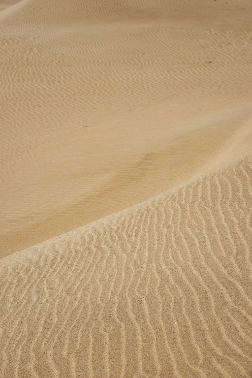 white sand with blue water