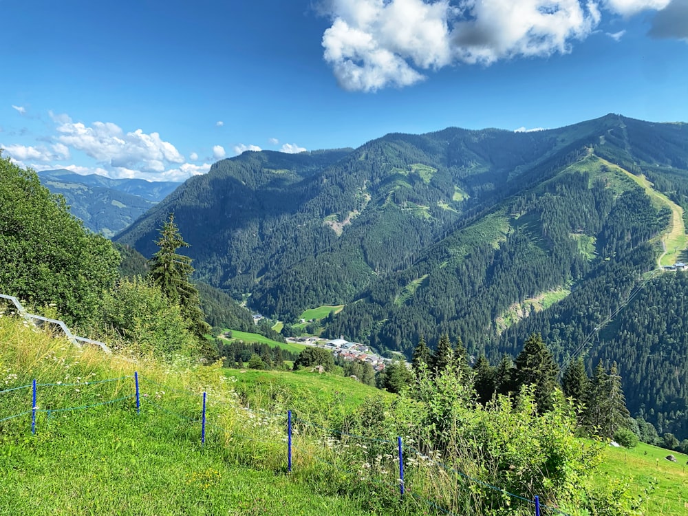 green trees on mountain under blue sky during daytime