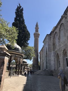 A historic mosque with intricate stone architecture features a tall minaret and arched windows. Nearby, a large tree provides shade over a walkway with several people strolling. The clear blue sky enhances the serene atmosphere.