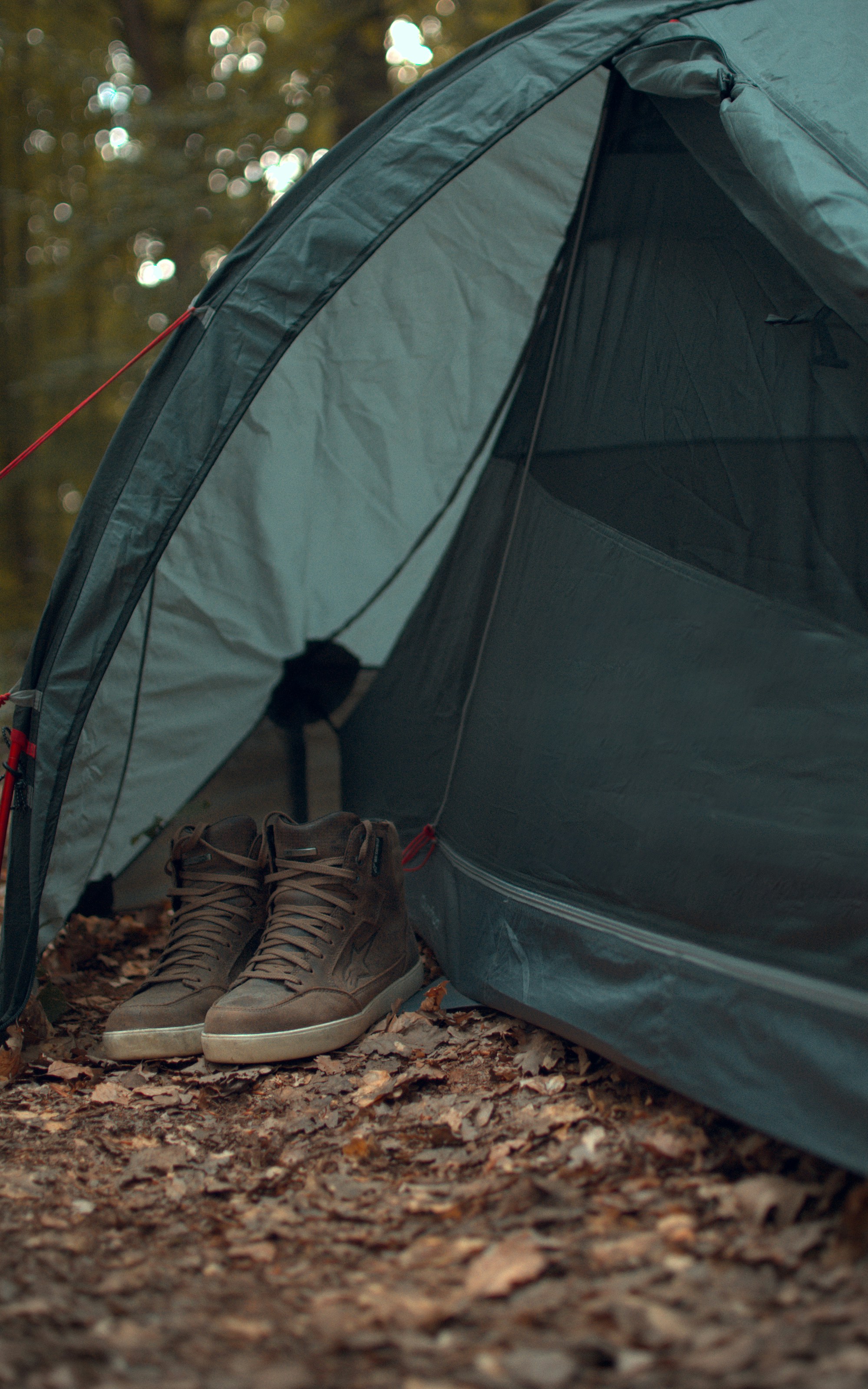 Forest campsite nature, ilustrasi artikel Your First Camping Trip: Essential Gear for Beginners 6
