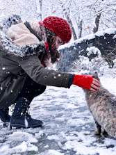 Volunteers gently feeding and caring for stray cats in a snowy mountain village setting.