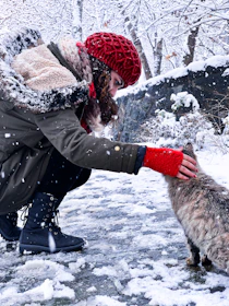 Volunteers gently feeding and caring for stray cats in a snowy mountain village setting.