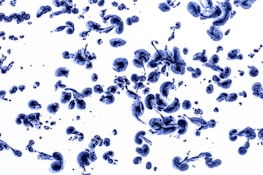 Abstract formations resembling blue-tinted organic structures spread randomly across a light background, resembling cells or microorganisms viewed under a microscope. The shapes vary in size and curvature, with some appearing more dense and complex while others are more dispersed.