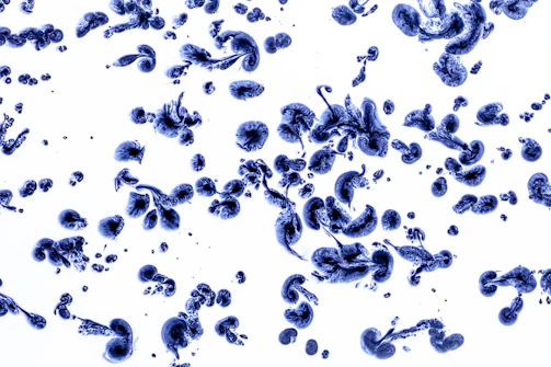 Abstract blue and grey shapes evoking a clinical lab environment.