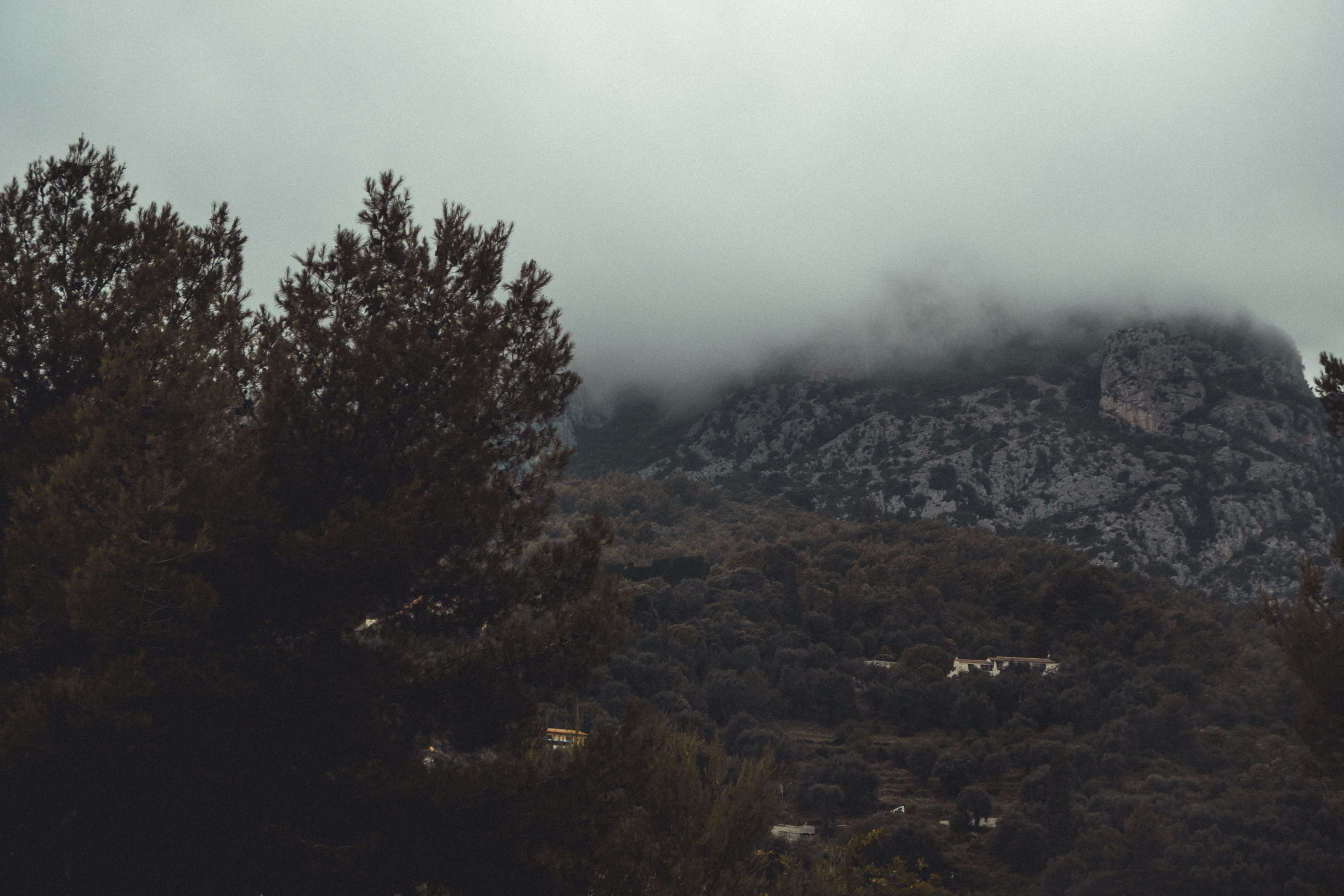 Photo by moritz_photography