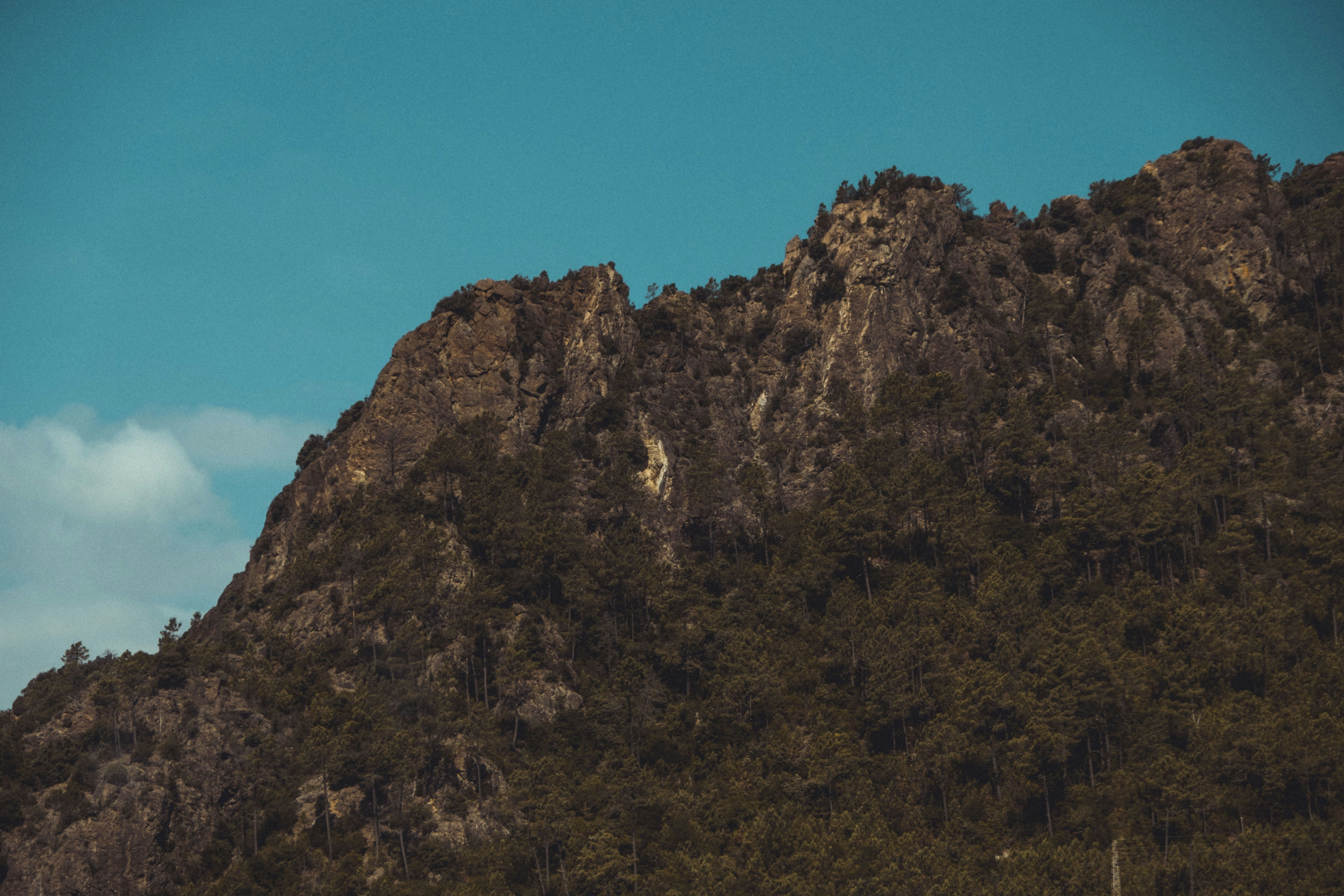 Photo by moritz_photography