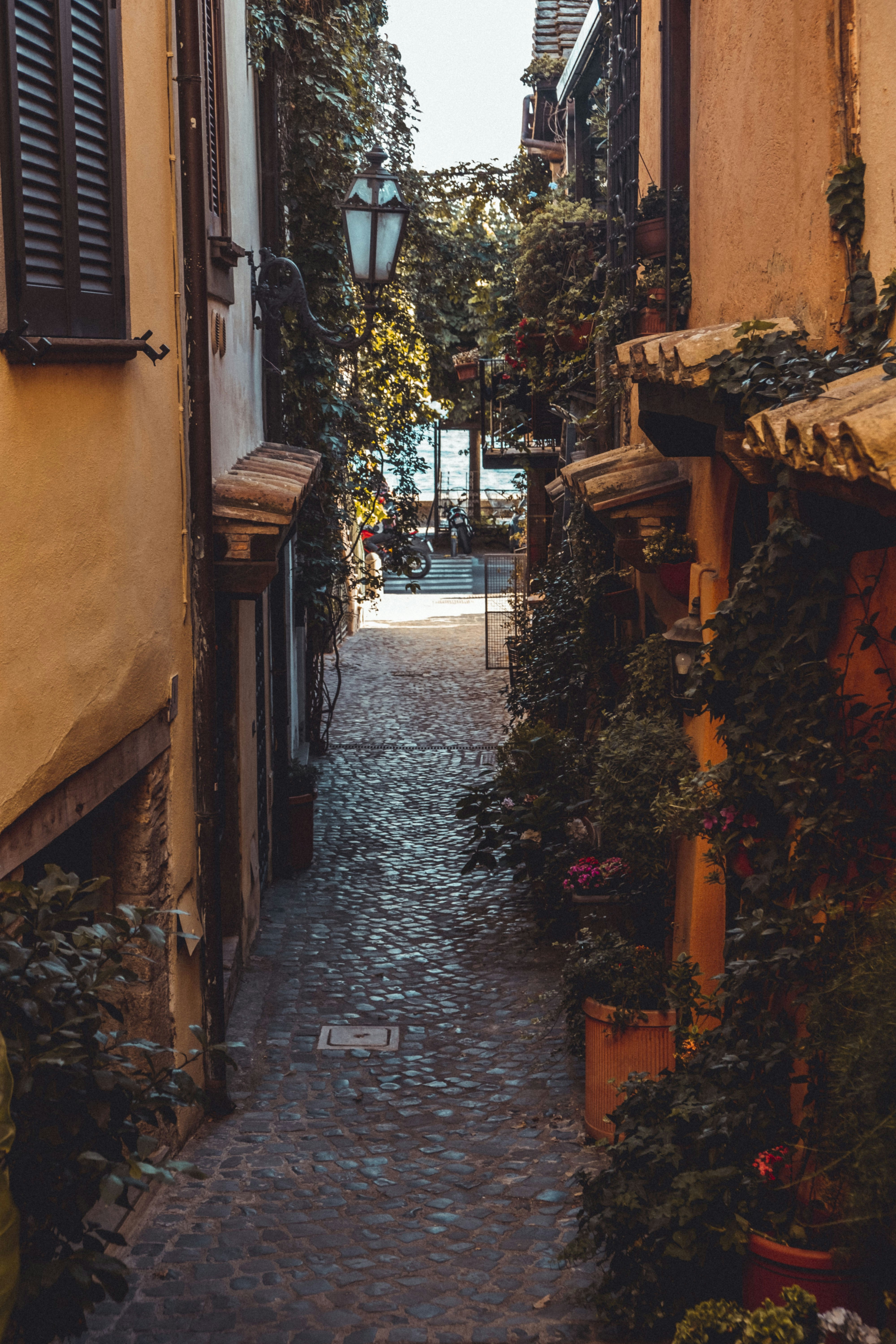 Photo by moritz_photography