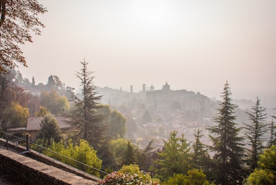 green trees near mountain during daytime in Bergamo Italy