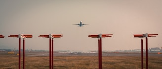 An airplane is taking off or landing on a runway, surrounded by tall red lights. The sky is overcast, creating a muted atmosphere.