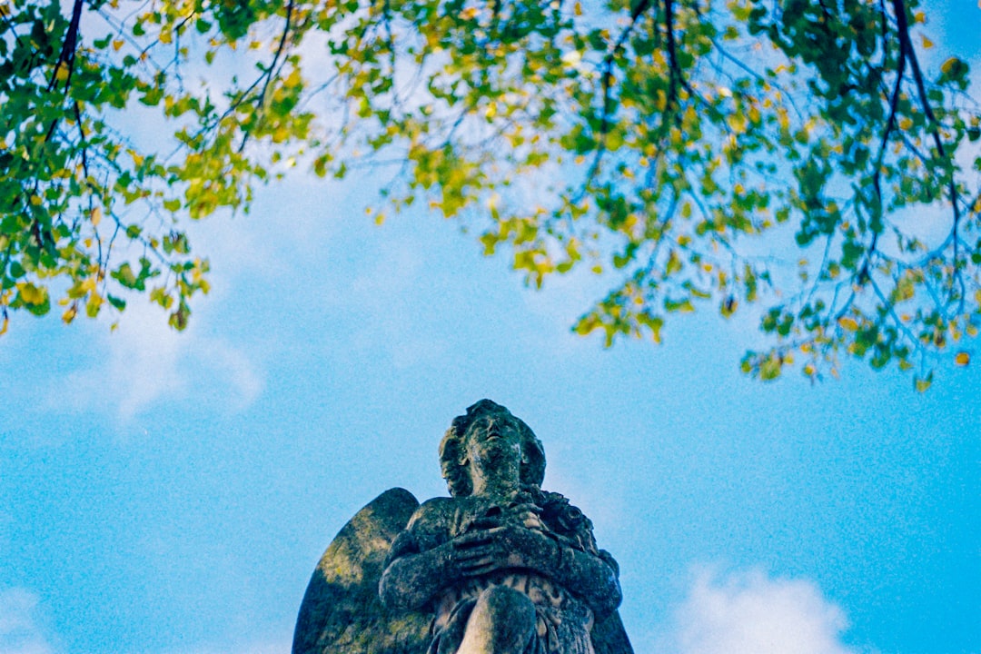 brown statue under blue sky during daytime