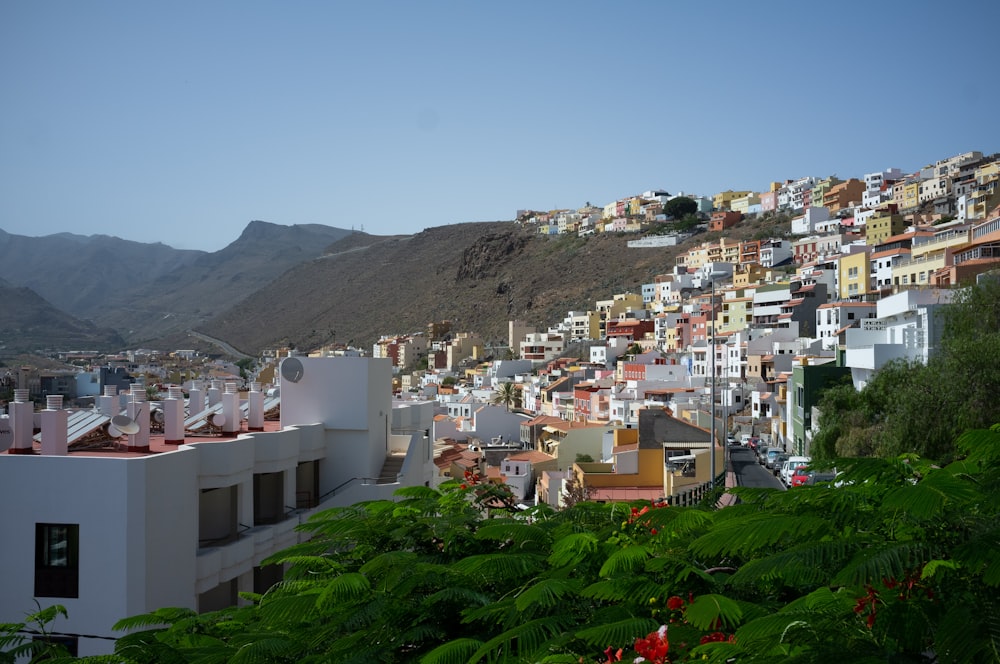 city buildings on mountain during daytime
