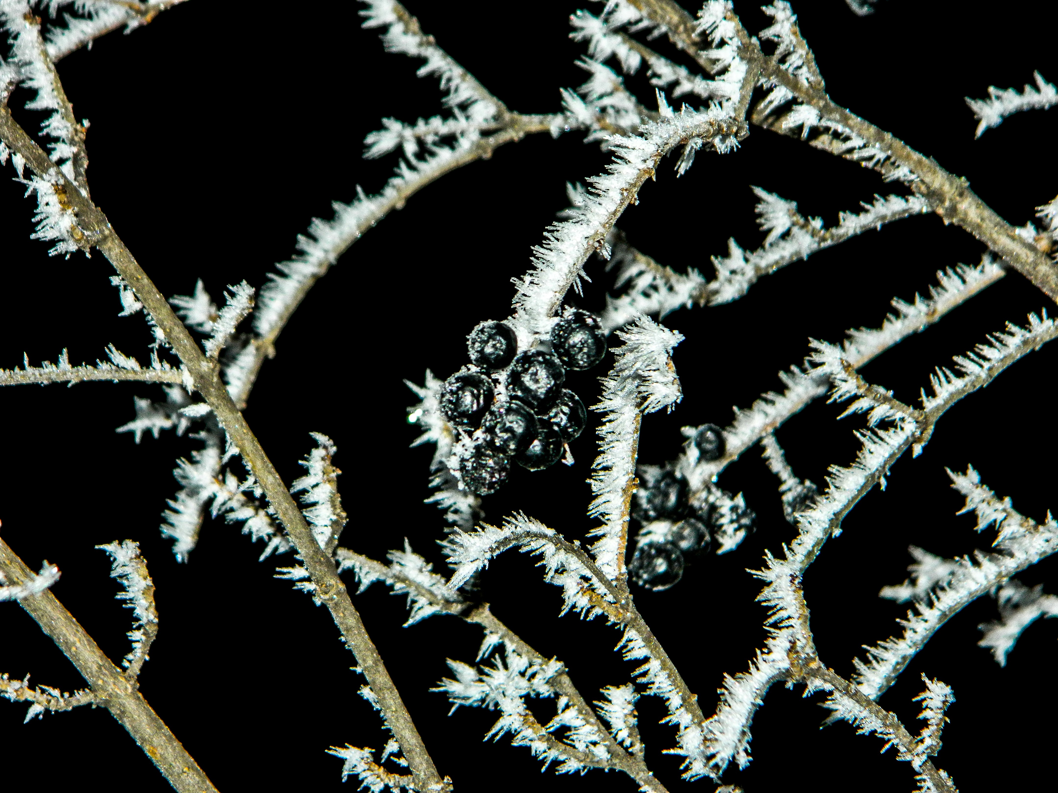 Photo by ellymurrrrr