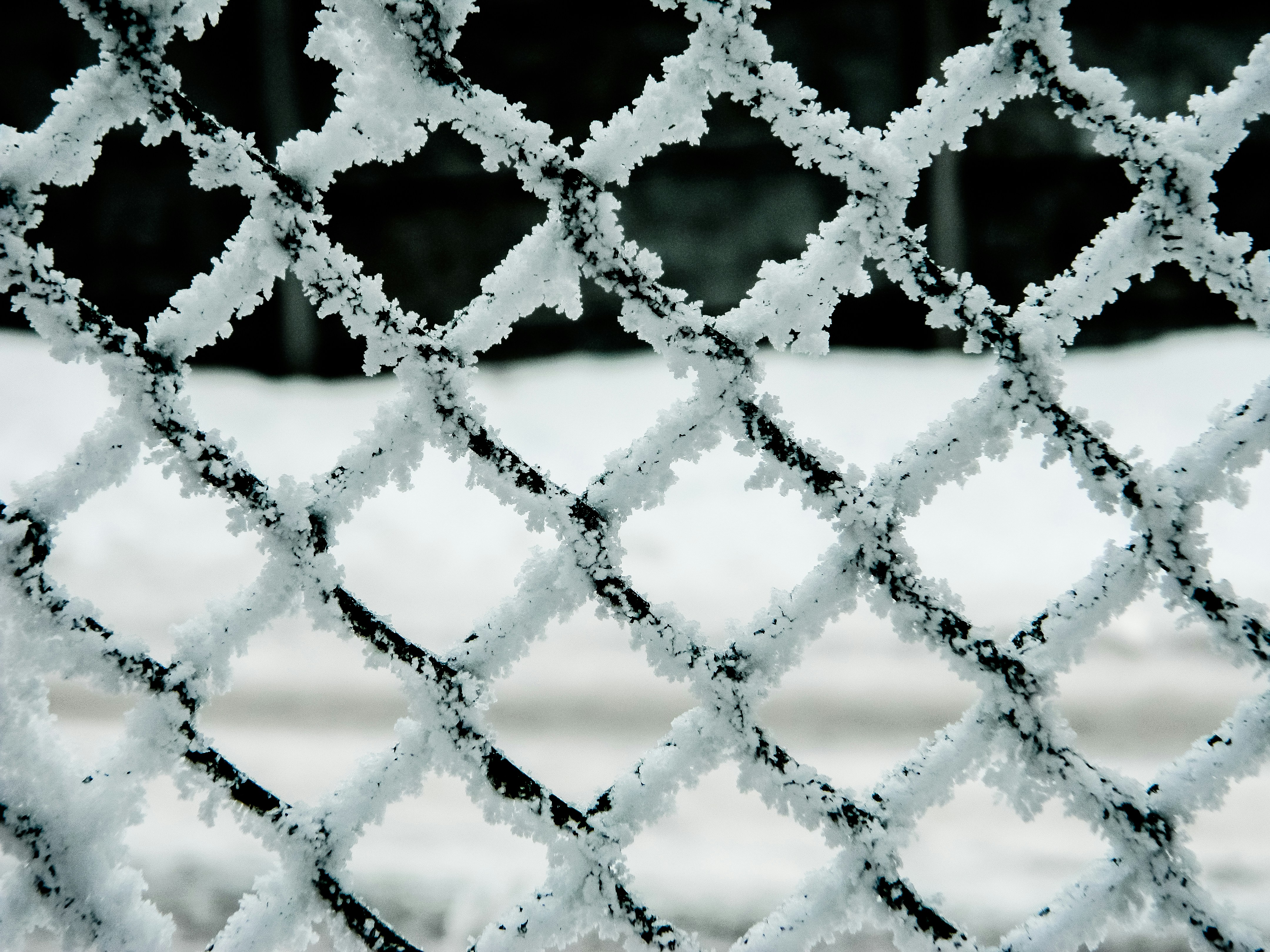 Comparing cost and value of composite fencing