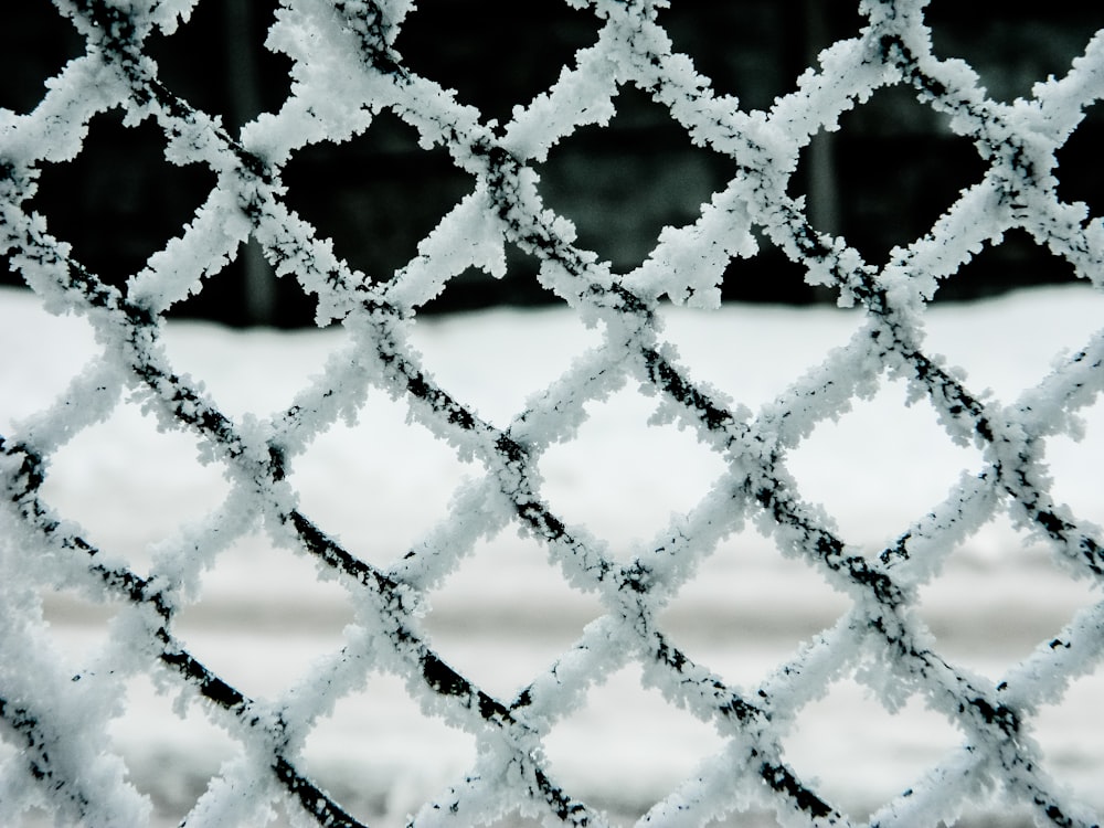 black metal fence during daytime