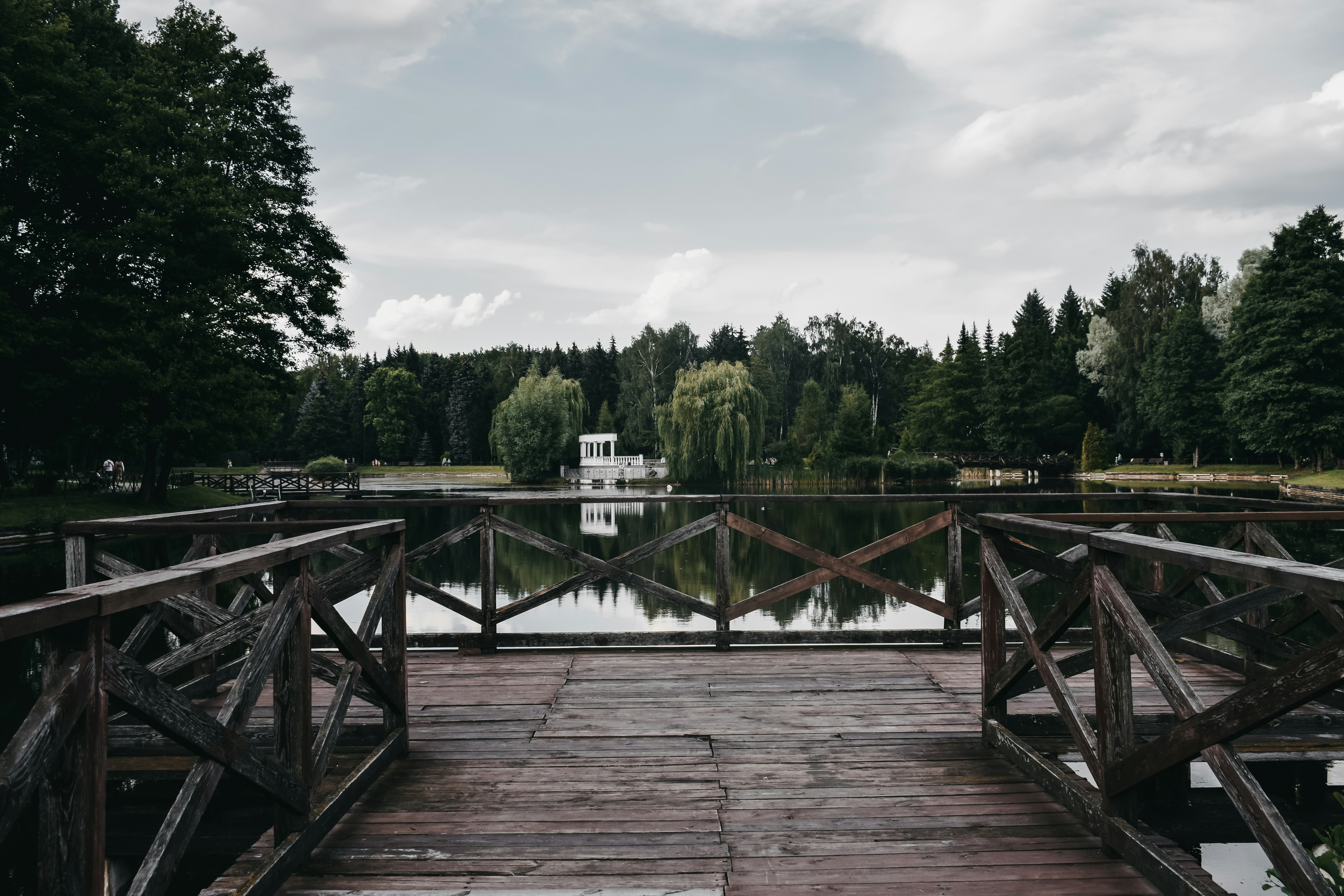 Photo by darya_tryfanava