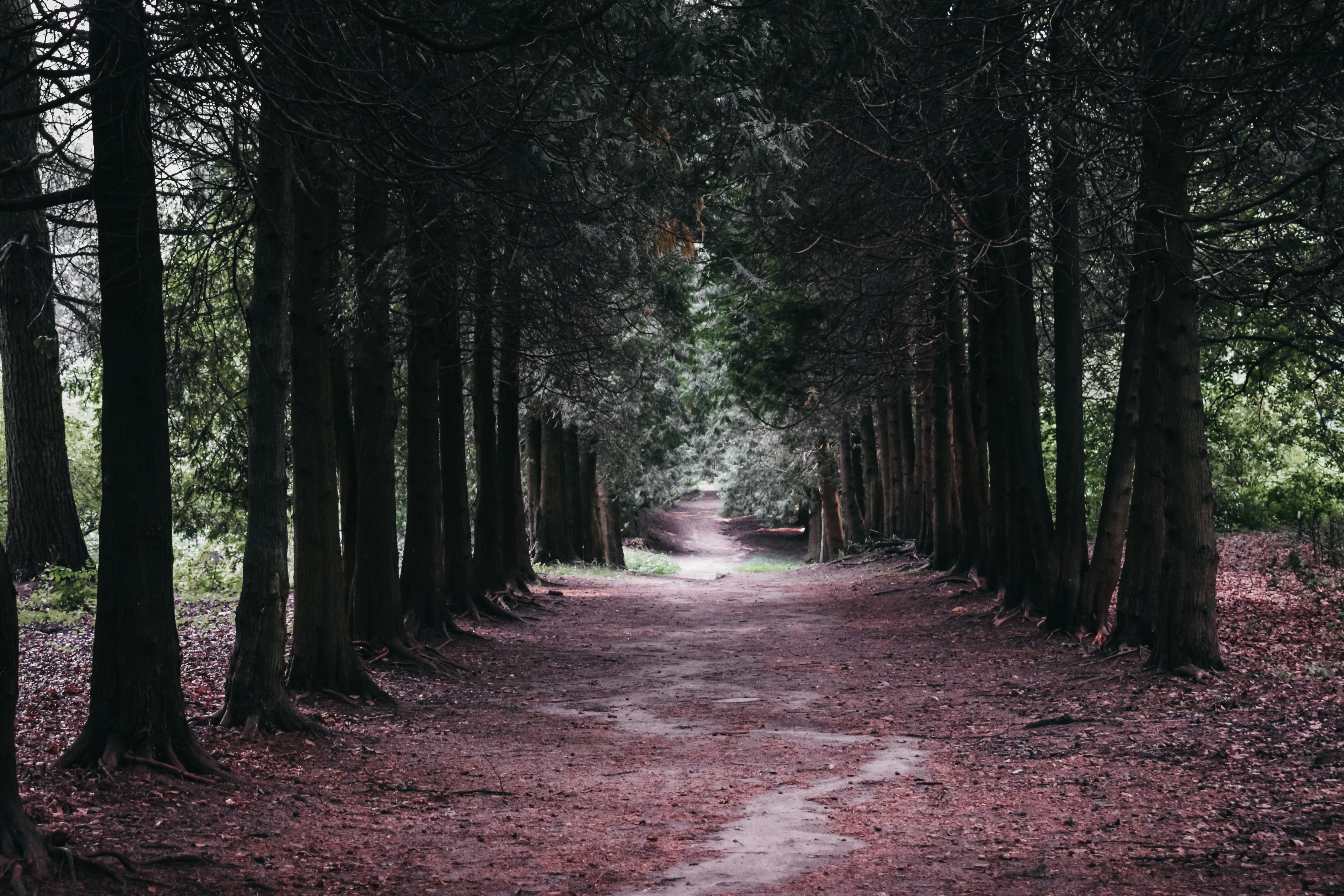 Photo by darya_tryfanava