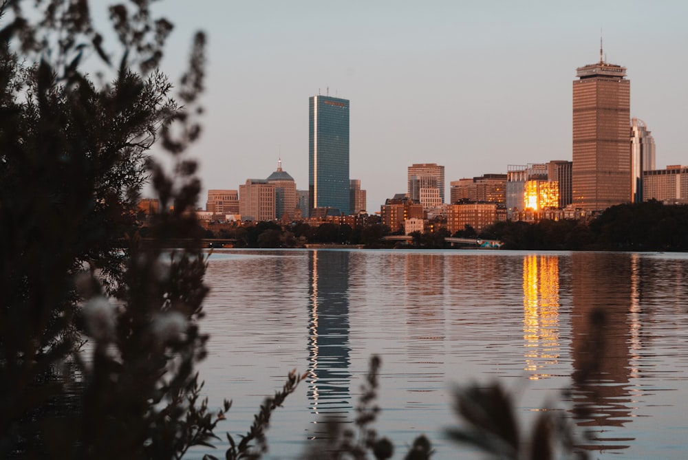 city skyline across body of water during daytime