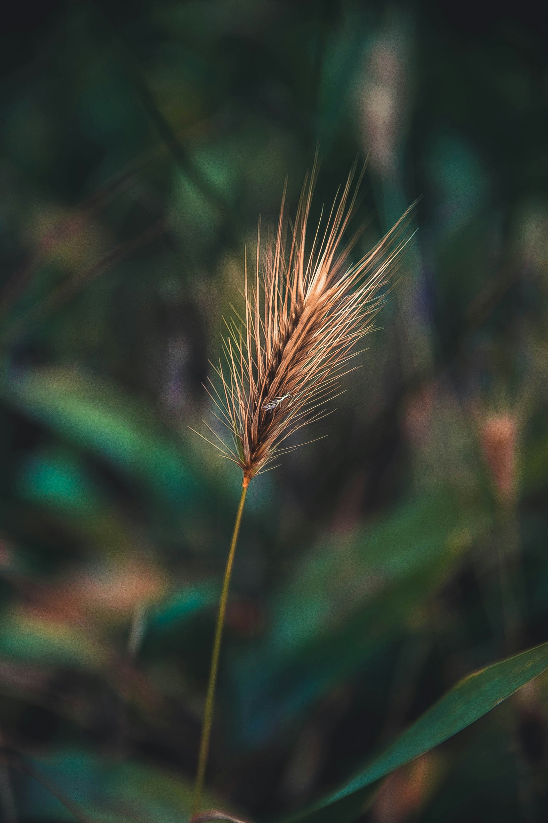 Photo by anna_safronova