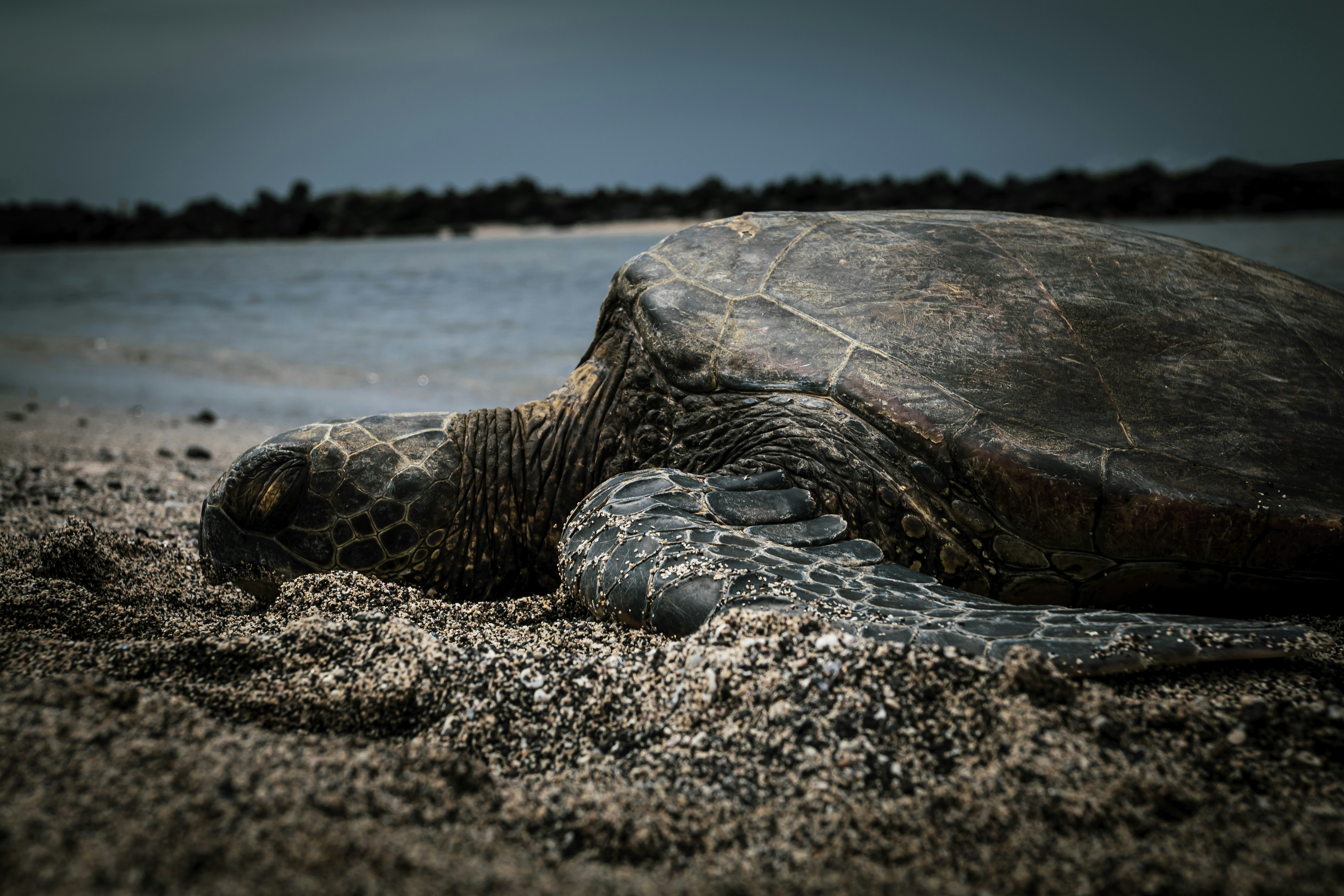 Photo by loganhansen