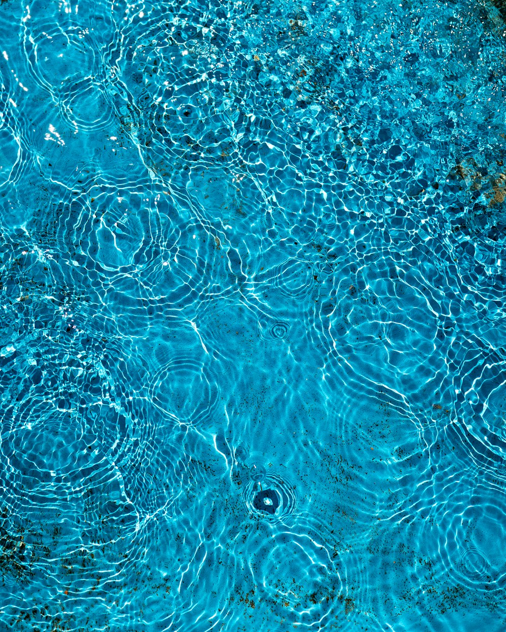 acqua blu con bolle bianche