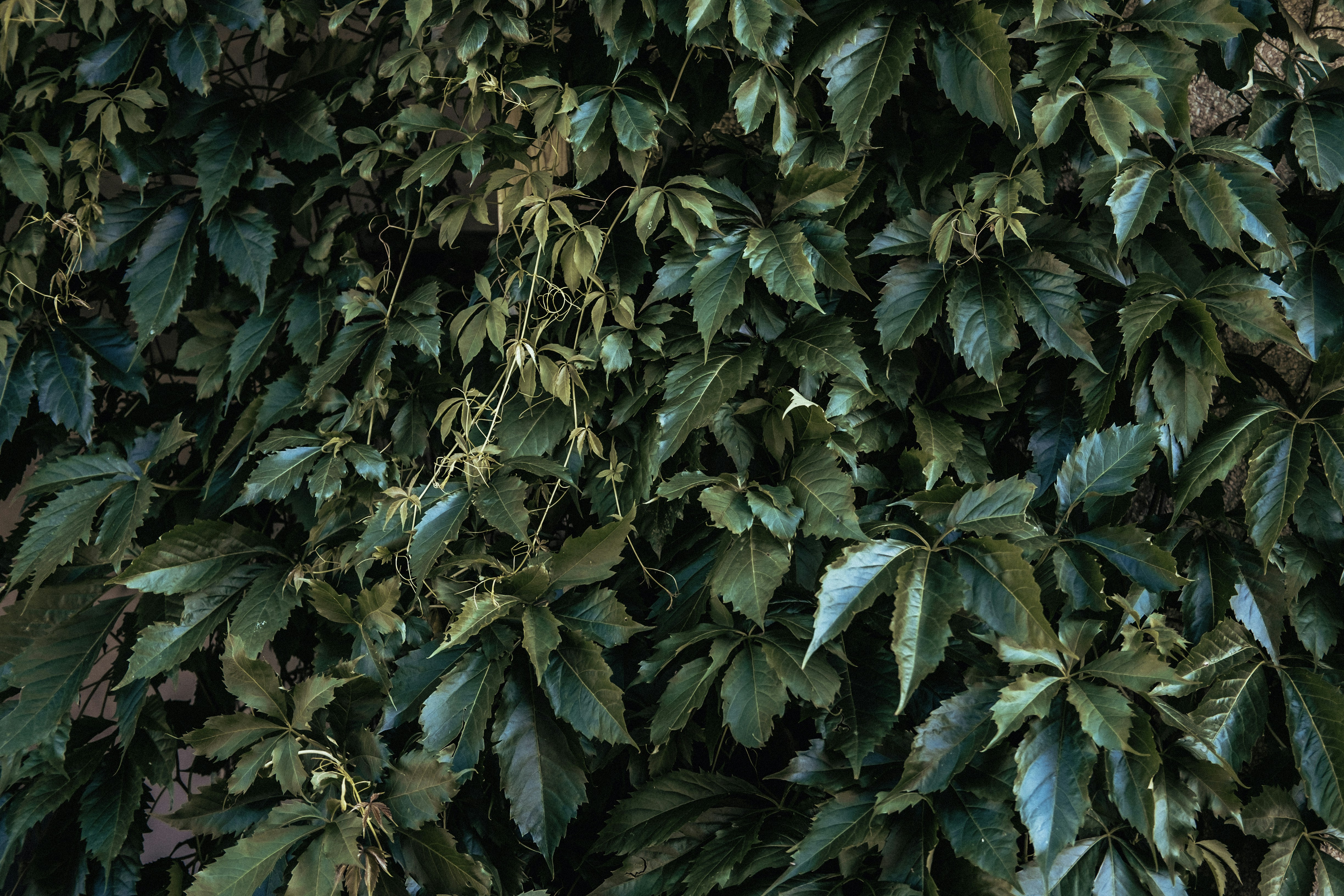 Photo by tarameinczinger