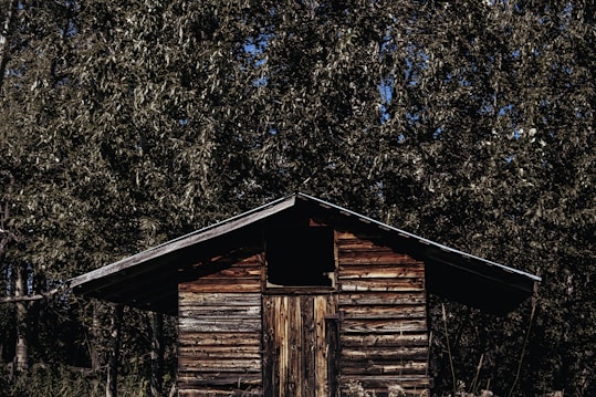 A rustic wooden cabin stands in front of dense greenery. The weathered texture of the cabin&rsquo;s wood is highlighted by sunlight, creating an earthy and natural look. The trees behind the cabin are lush and full, indicating a dense forest setting.