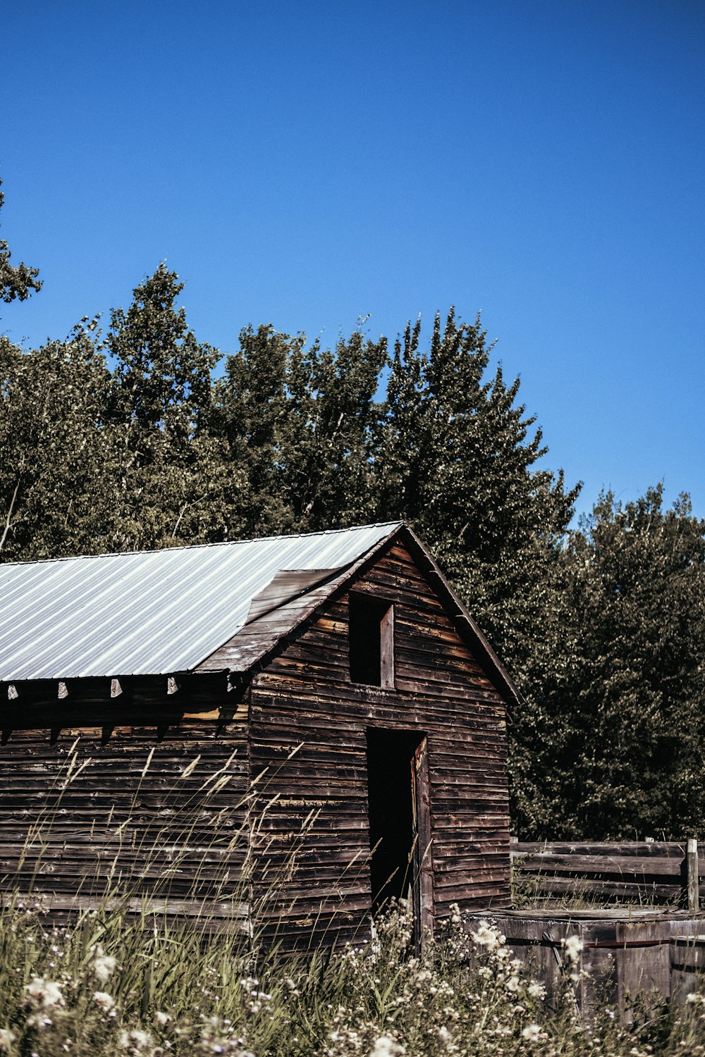 brown wooden house near green trees under blue sky during daytime