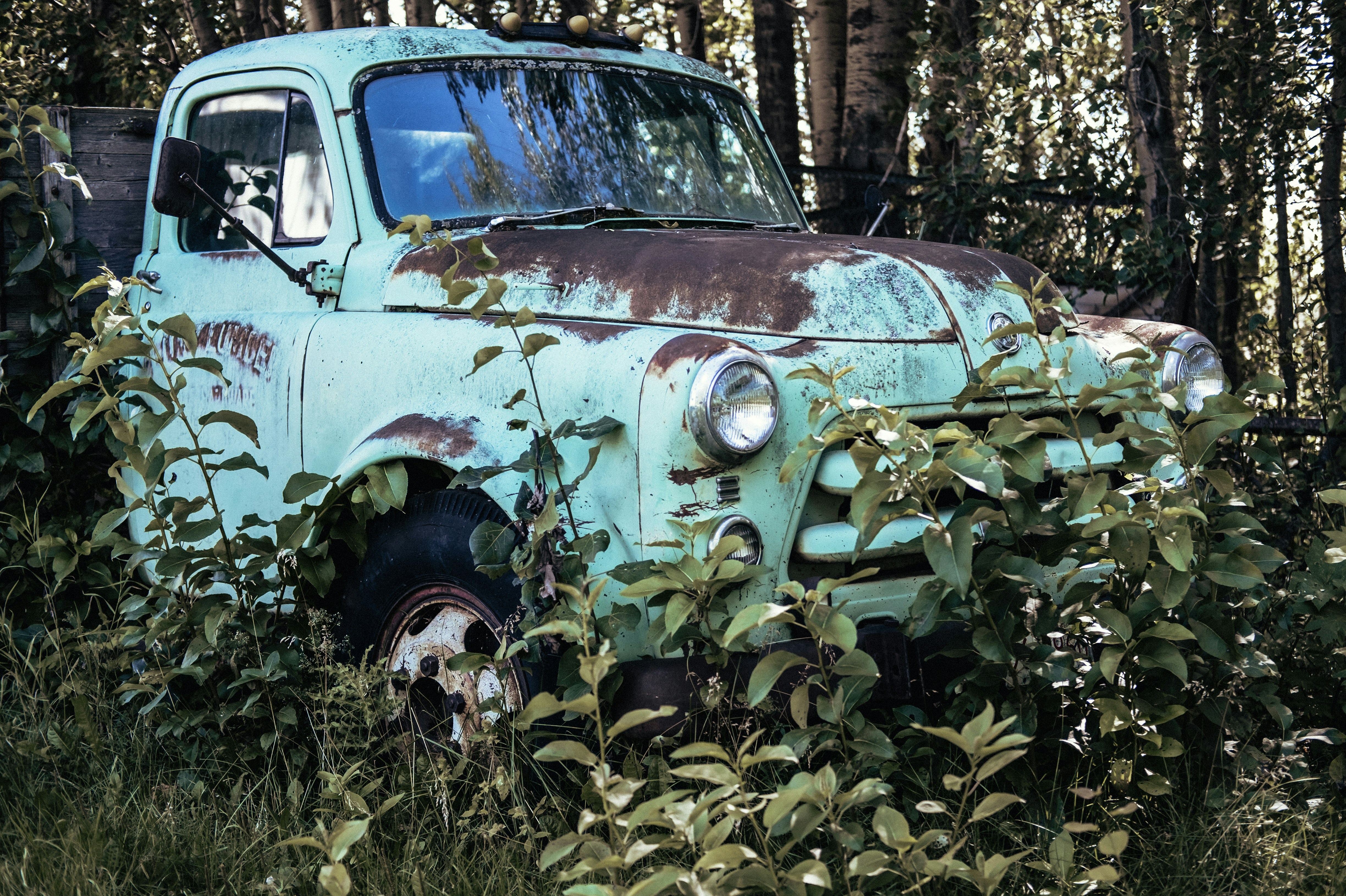 Photo by tarameinczinger