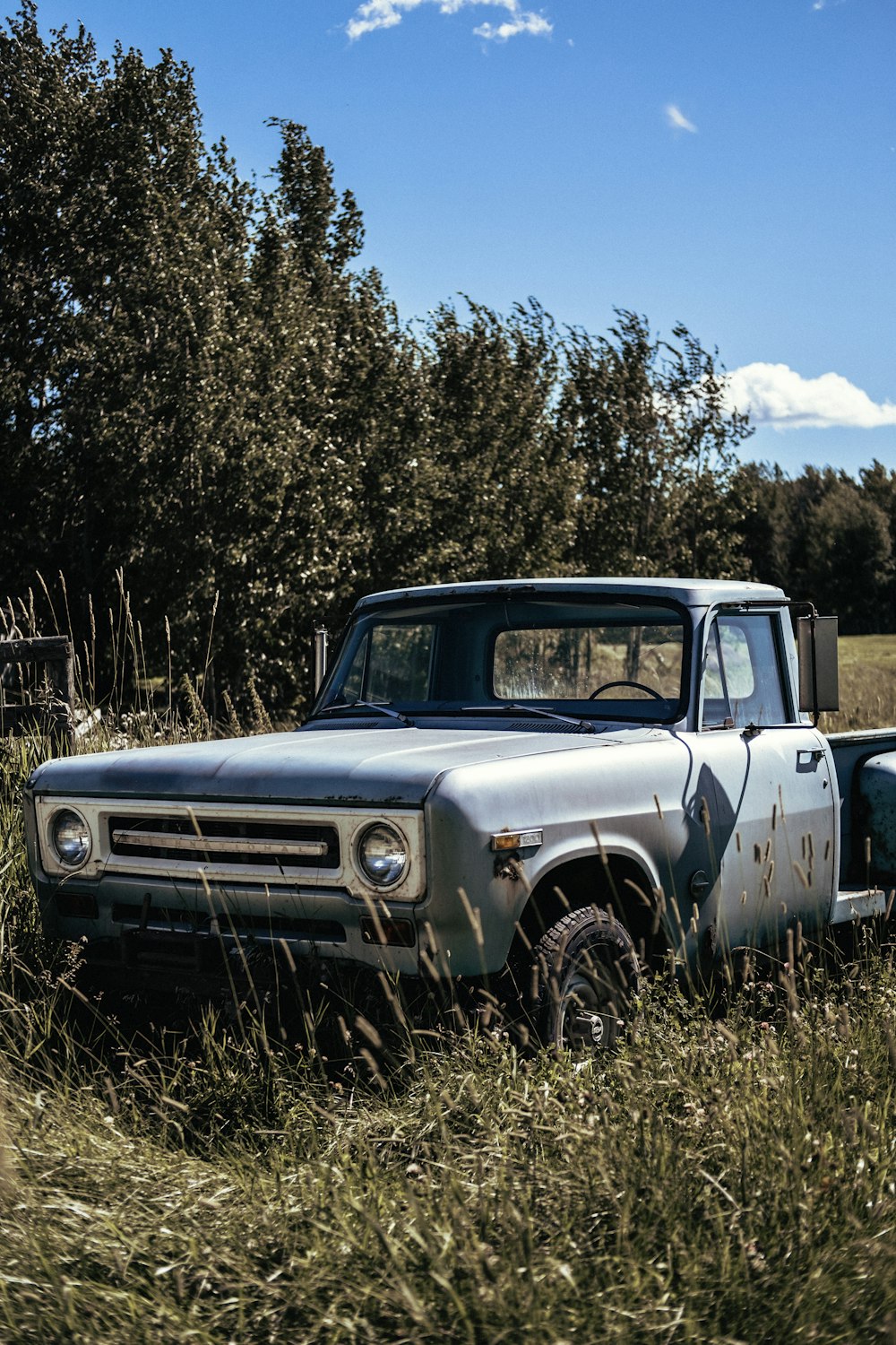 white vintage car on forest during daytime