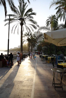 people walking on street during daytime