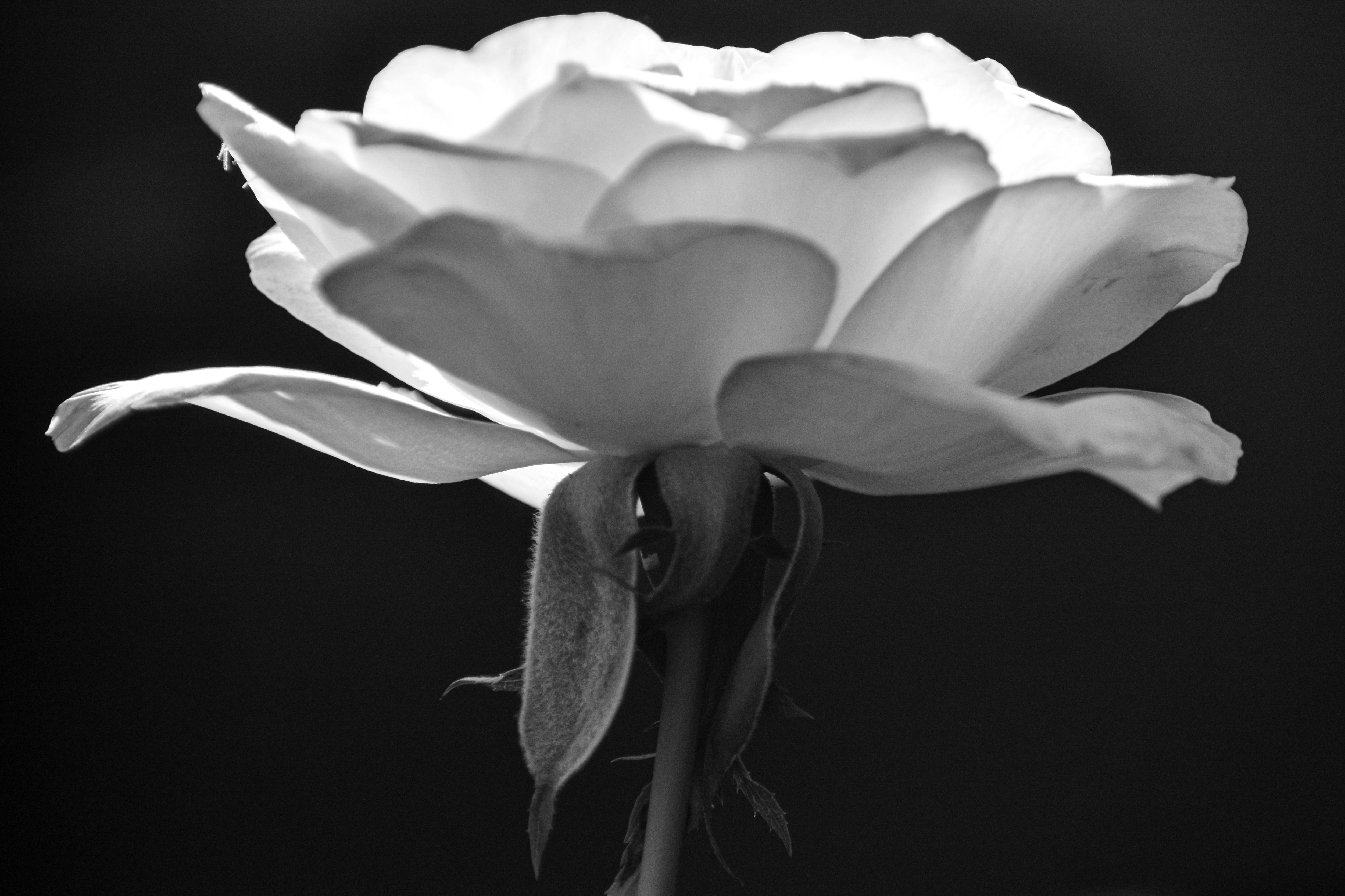 Photo by elisastonephotography