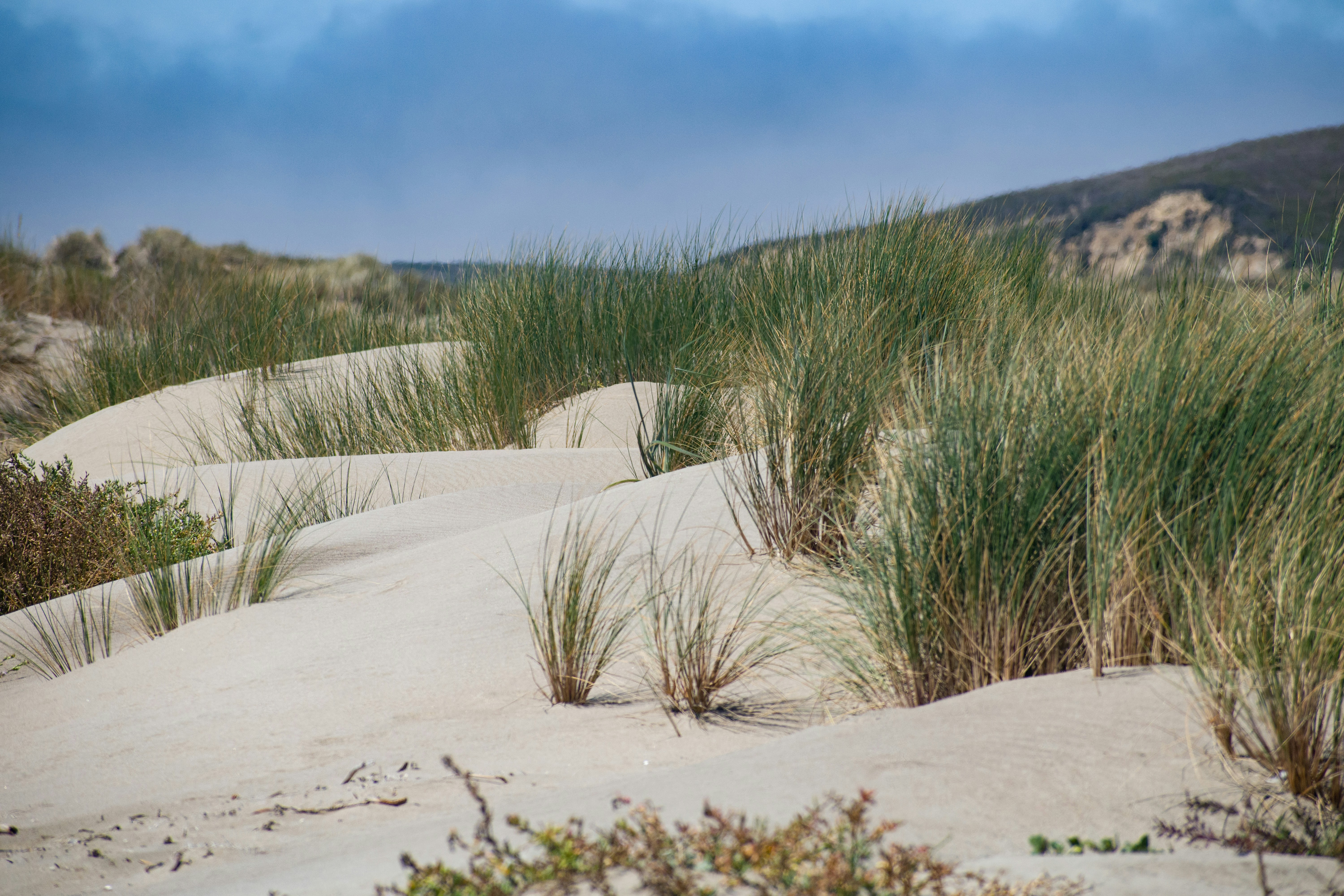 Photo by elisastonephotography