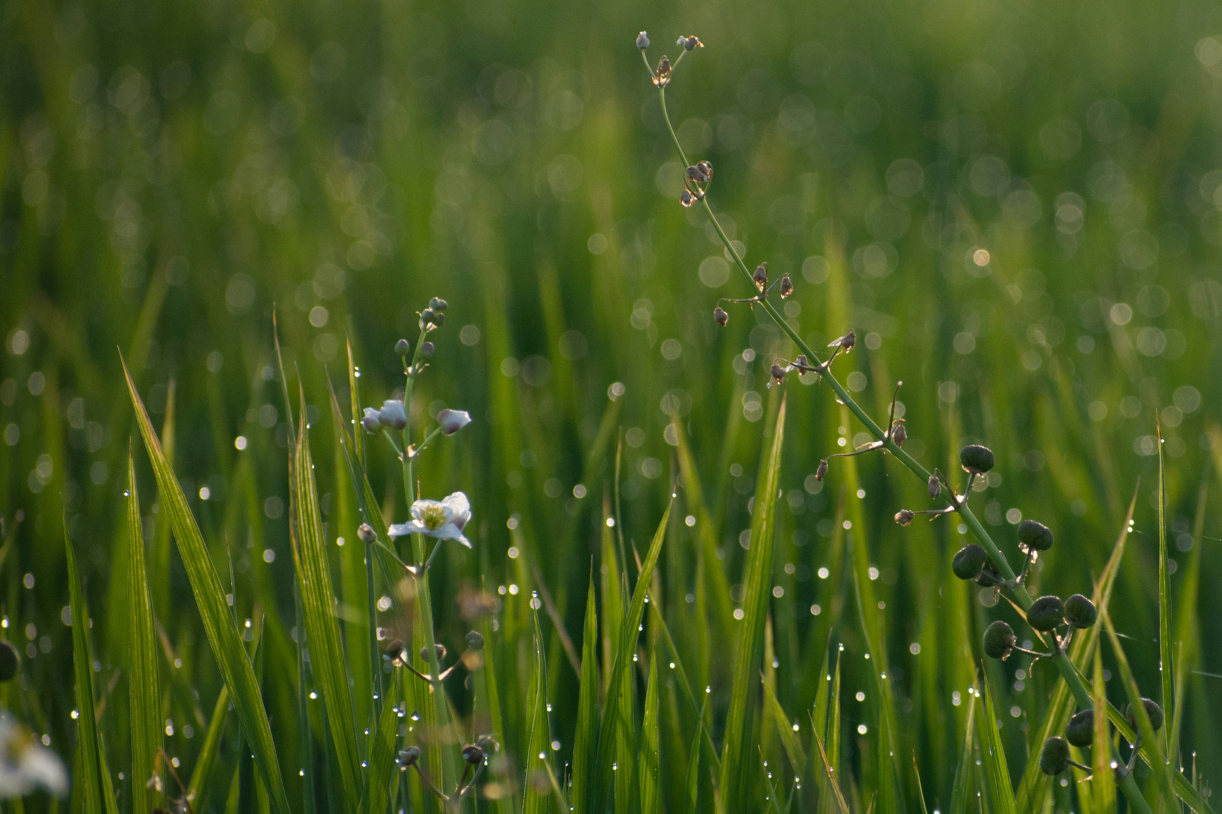 Photo by elisastonephotography